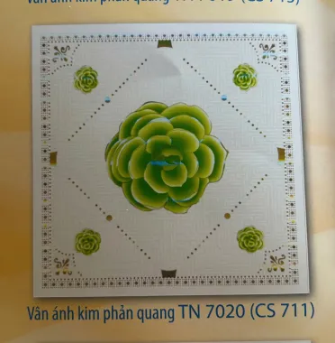 Vân Ánh Kim Phản Quang TN7013