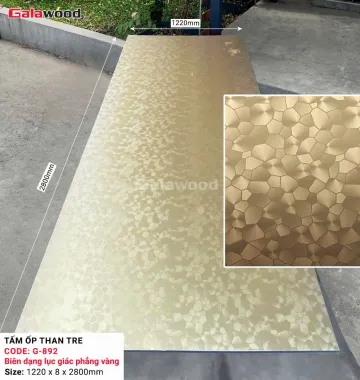 TẤM NHỰA 0488