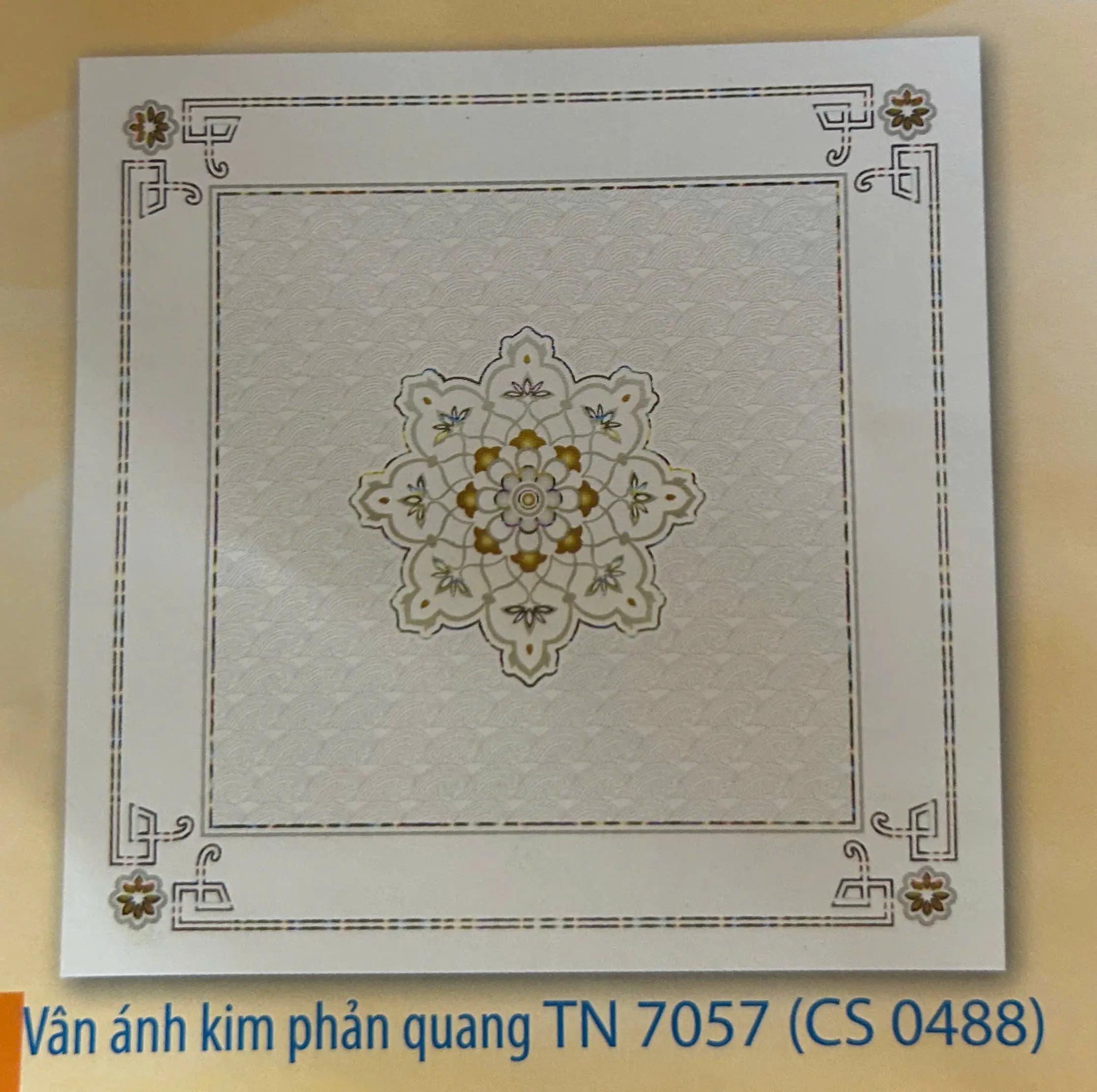 TẤM NHỰA 0488