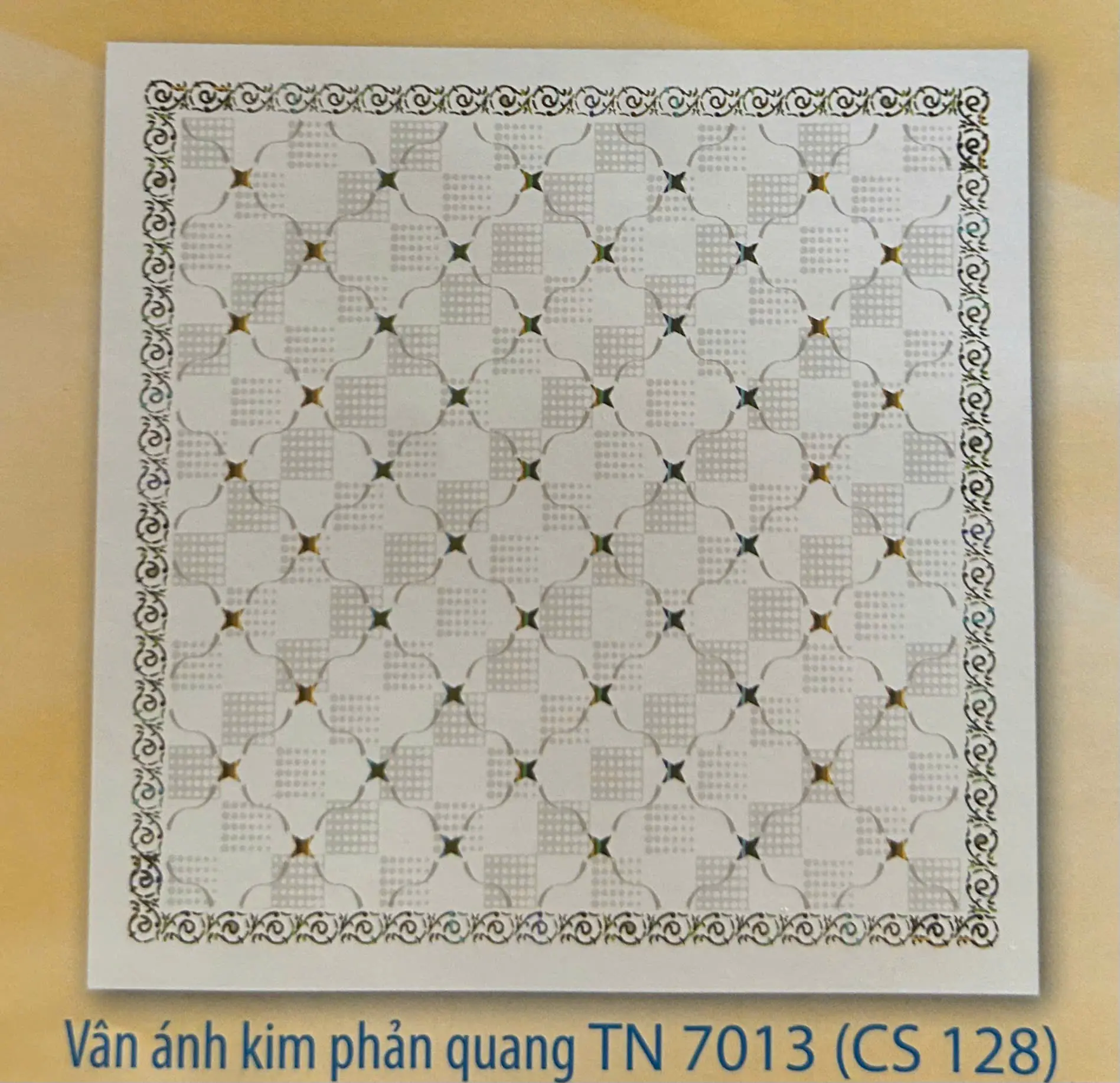 Vân Ánh Kim Phản Quang TN7013