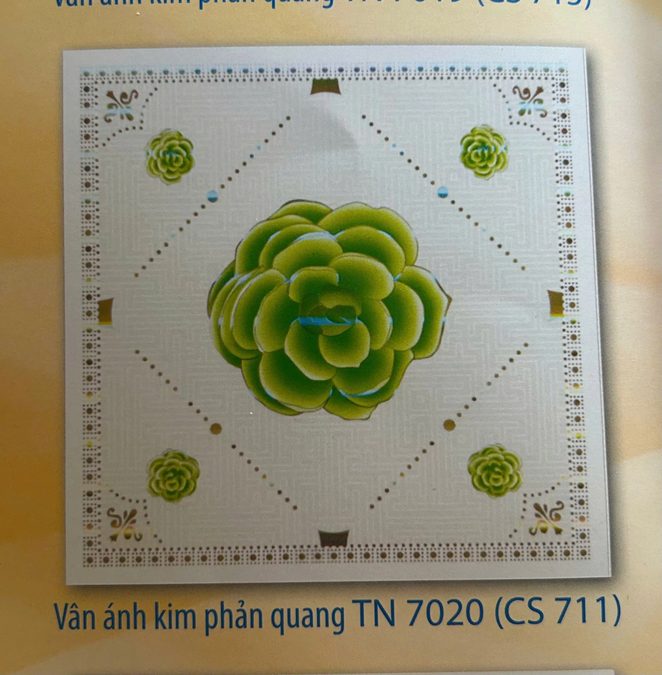 Vân Ánh Kim Phản Quang TN7020